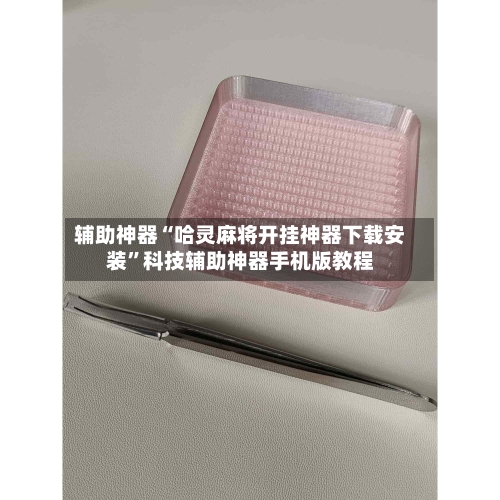 辅助神器“哈灵麻将开挂神器下载安装	”科技辅助神器手机版教程-第3张图片