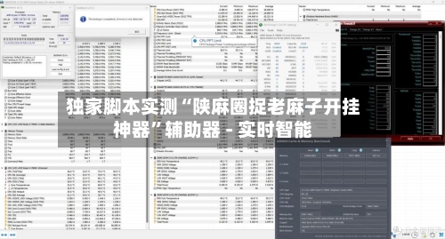 独家脚本实测“陕麻圈捉老麻子开挂神器	”辅助器 - 实时智能-第2张图片