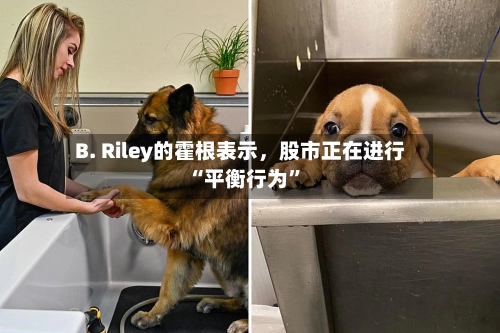 B. Riley的霍根表示	，股市正在进行“平衡行为”-第2张图片
