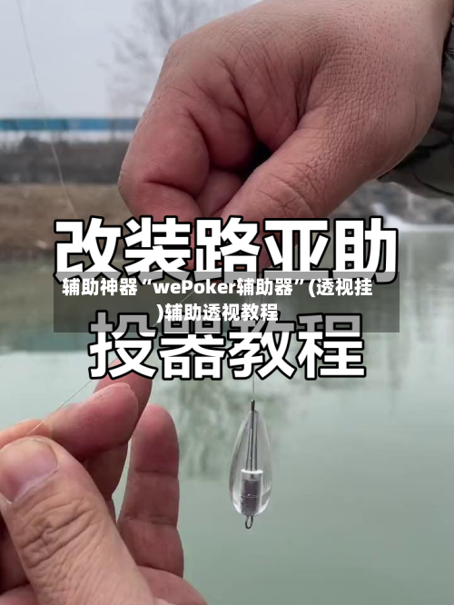 辅助神器“wePoker辅助器	”(透视挂)辅助透视教程-第2张图片