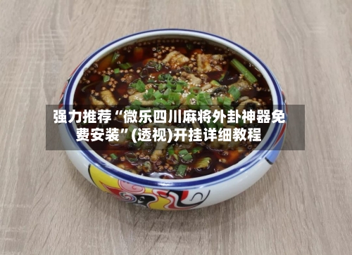 强力推荐“微乐四川麻将外卦神器免费安装”(透视)开挂详细教程-第3张图片