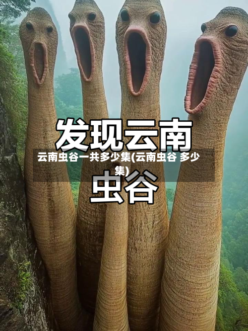 云南虫谷一共多少集(云南虫谷 多少集)