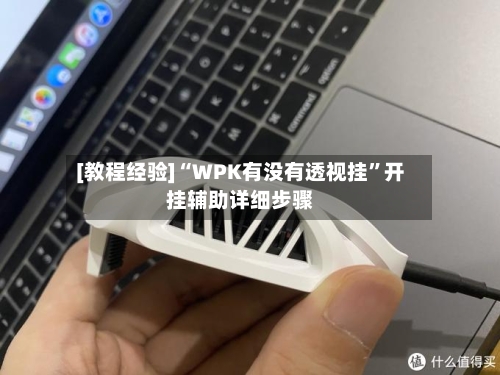 [教程经验]“WPK有没有透视挂”开挂辅助详细步骤-第2张图片