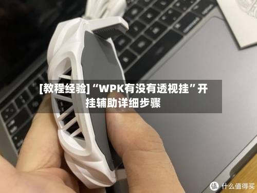[教程经验]“WPK有没有透视挂”开挂辅助详细步骤-第3张图片