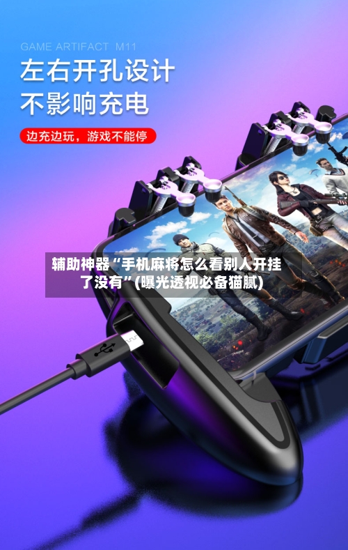 辅助神器“手机麻将怎么看别人开挂了没有”(曝光透视必备猫腻)-第3张图片