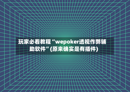 玩家必看教程“wepoker透视作弊辅助软件”(原来确实是有插件)-第2张图片