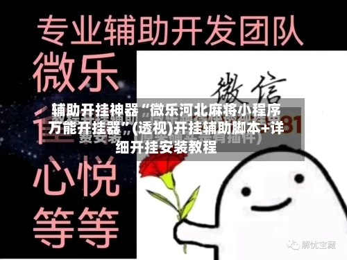 辅助开挂神器“微乐河北麻将小程序万能开挂器”(透视)开挂辅助脚本+详细开挂安装教程-第3张图片