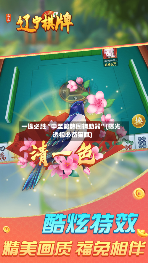 一键必胜“中至赣牌圈辅助器”(曝光透视必备猫腻)-第2张图片