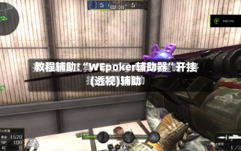 教程辅助!“WEpoker辅助器	”开挂(透视)辅助-第2张图片