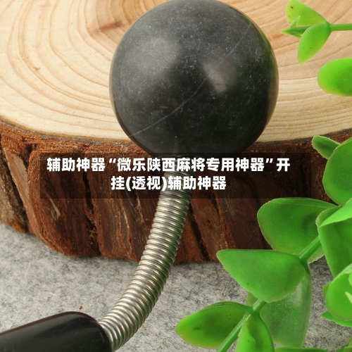 辅助神器“微乐陕西麻将专用神器	”开挂(透视)辅助神器-第2张图片
