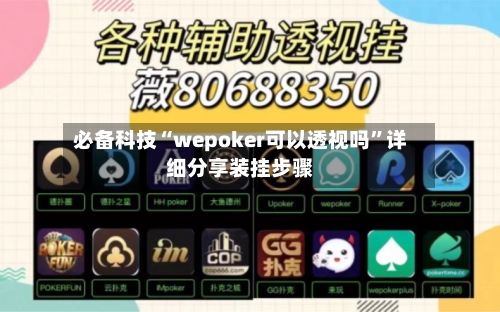 必备科技“wepoker可以透视吗”详细分享装挂步骤-第2张图片