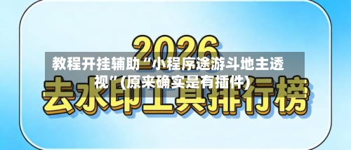 教程开挂辅助“小程序途游斗地主透视”(原来确实是有插件)-第2张图片