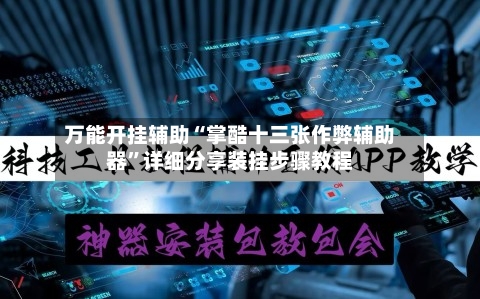 万能开挂辅助“掌酷十三张作弊辅助器”详细分享装挂步骤教程-第3张图片