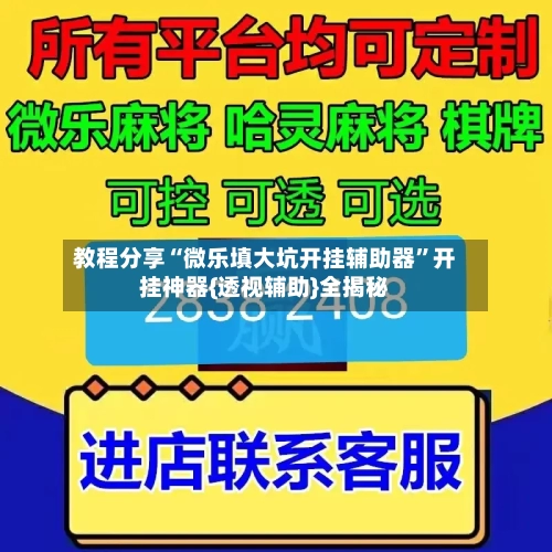 教程分享“微乐填大坑开挂辅助器”开挂神器{透视辅助}全揭秘-第2张图片