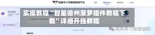 实操教程“智星德州菠萝插件教程下载	”详细开挂教程-第2张图片