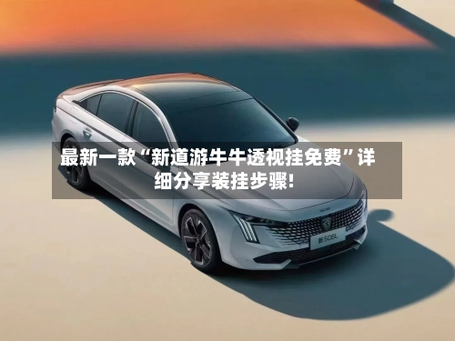 最新一款“新道游牛牛透视挂免费”详细分享装挂步骤!-第3张图片