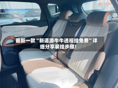 最新一款“新道游牛牛透视挂免费”详细分享装挂步骤!-第2张图片