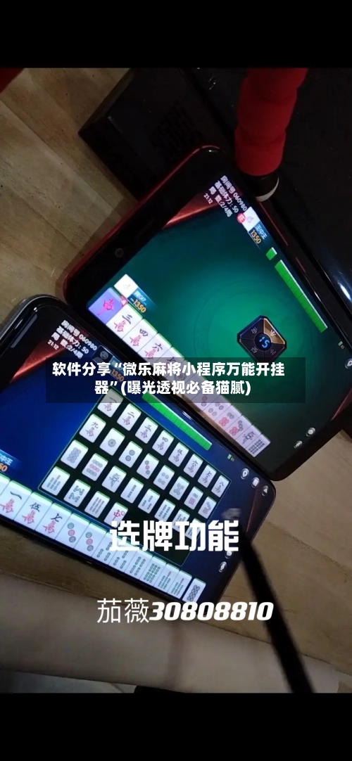 软件分享“微乐麻将小程序万能开挂器	”(曝光透视必备猫腻)-第2张图片