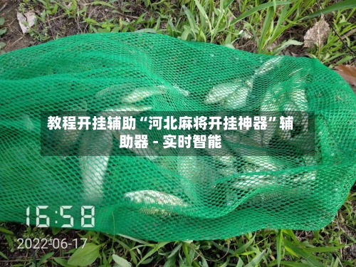 教程开挂辅助“河北麻将开挂神器”辅助器 - 实时智能-第3张图片