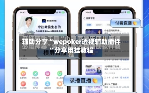 辅助分享“wepoker透视辅助插件”分享用挂教程-第3张图片