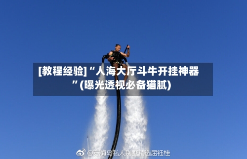 [教程经验]“人海大厅斗牛开挂神器”(曝光透视必备猫腻)-第3张图片