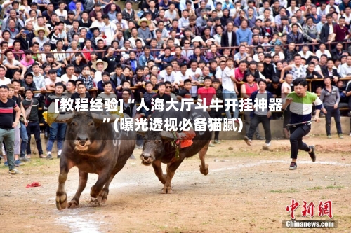 [教程经验]“人海大厅斗牛开挂神器	”(曝光透视必备猫腻)-第2张图片