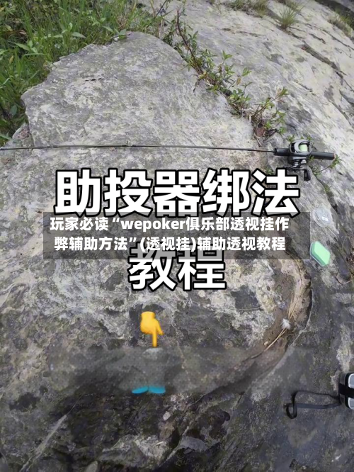 玩家必读“wepoker俱乐部透视挂作弊辅助方法”(透视挂)辅助透视教程-第3张图片