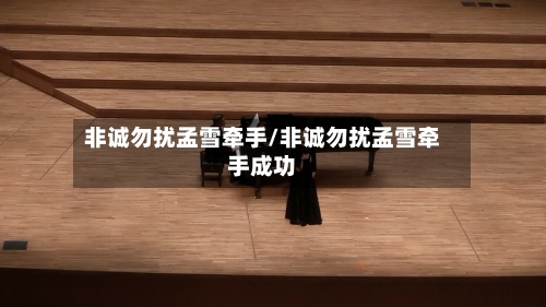 非诚勿扰孟雪牵手/非诚勿扰孟雪牵手成功