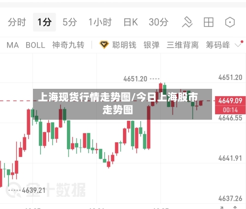 上海现货行情走势图/今日上海股市走势图-第1张图片