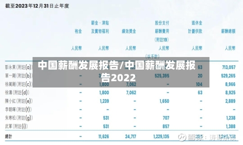 中国薪酬发展报告/中国薪酬发展报告2022-第2张图片