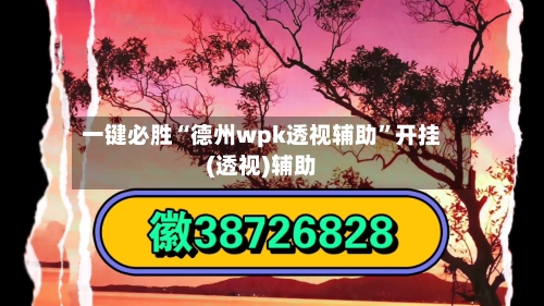 一键必胜“德州wpk透视辅助”开挂(透视)辅助-第3张图片