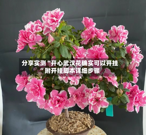 分享实测“开心武汉花确实可以开挂	”附开挂脚本详细步骤-第2张图片