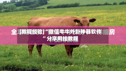 [教程经验]“微信牛牛外卦神器软件	”分享用挂教程-第2张图片