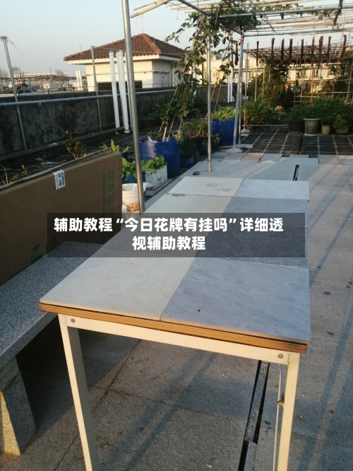 辅助教程“今日花牌有挂吗”详细透视辅助教程