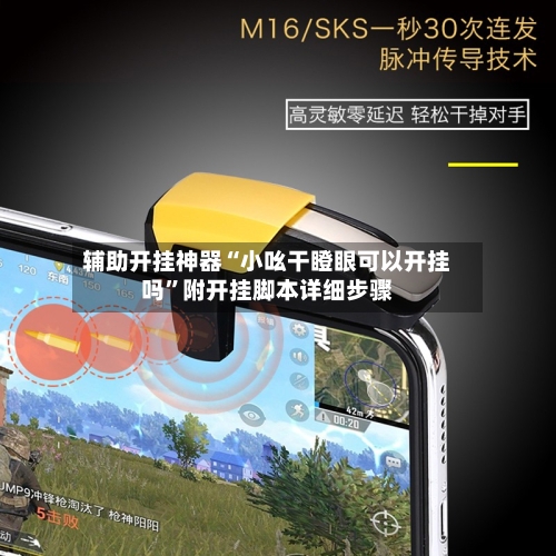 辅助开挂神器“小吆干瞪眼可以开挂吗”附开挂脚本详细步骤-第2张图片