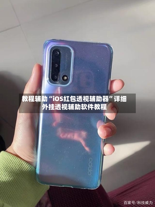 教程辅助“iOS红包透视辅助器	”详细外挂透视辅助软件教程-第2张图片