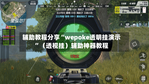 辅助教程分享“wepoke透明挂演示	”（透视挂）辅助神器教程-第2张图片