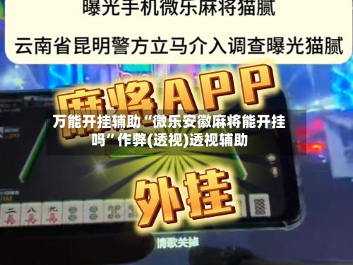 万能开挂辅助“微乐安徽麻将能开挂吗”作弊(透视)透视辅助-第2张图片