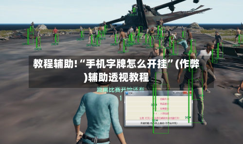 教程辅助!“手机字牌怎么开挂”(作弊)辅助透视教程-第1张图片