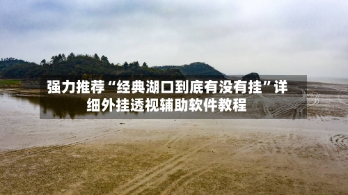 强力推荐“经典湖口到底有没有挂”详细外挂透视辅助软件教程-第3张图片
