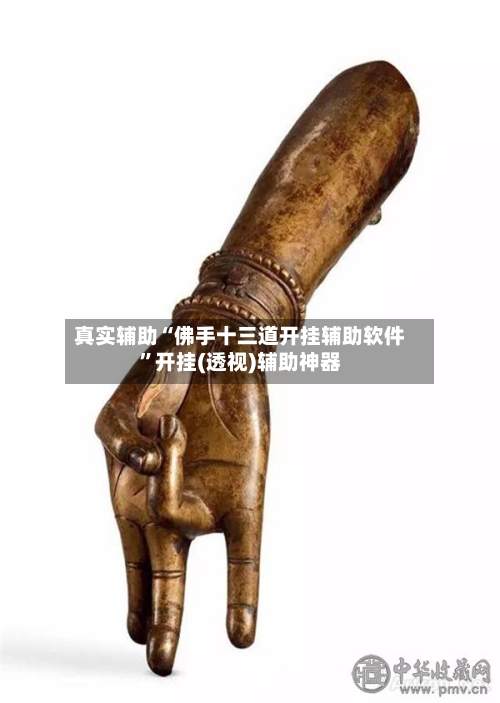 真实辅助“佛手十三道开挂辅助软件	”开挂(透视)辅助神器-第2张图片