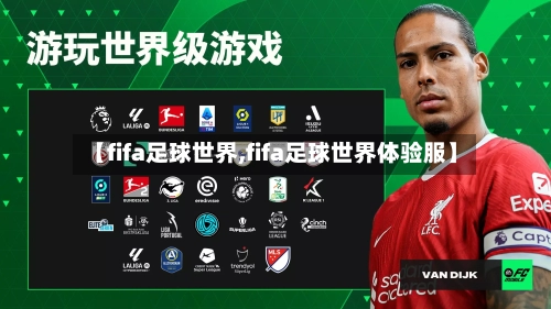 【fifa足球世界,fifa足球世界体验服】-第2张图片