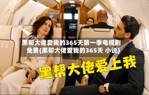 黑帮大佬爱我的365天第一季电视剧免费(黑帮大佬爱我的365天 小说)