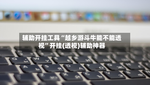 辅助开挂工具“越乡游斗牛能不能透视”开挂(透视)辅助神器