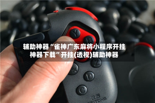 辅助神器“雀神广东麻将小程序开挂神器下载”开挂(透视)辅助神器-第2张图片