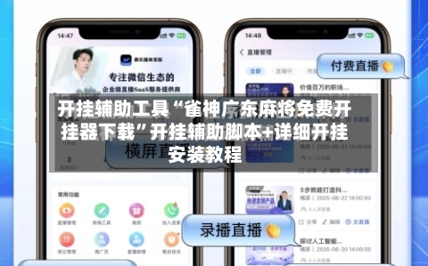 开挂辅助工具“雀神广东麻将免费开挂器下载	”开挂辅助脚本+详细开挂安装教程-第3张图片