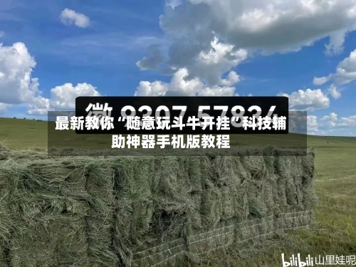 最新教你“随意玩斗牛开挂	”科技辅助神器手机版教程-第2张图片