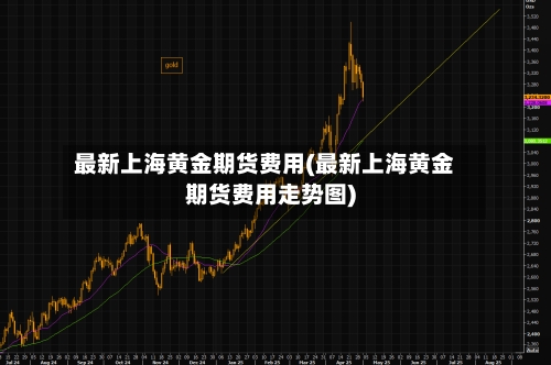 最新上海黄金期货费用(最新上海黄金期货费用走势图)-第2张图片