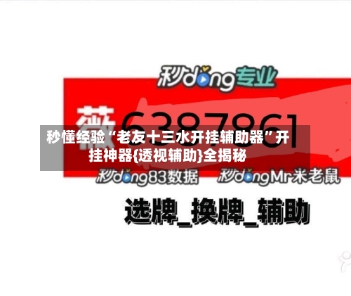 秒懂经验“老友十三水开挂辅助器”开挂神器{透视辅助}全揭秘-第2张图片