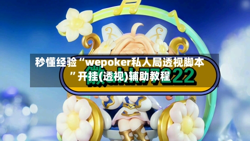 秒懂经验“wepoker私人局透视脚本”开挂(透视)辅助教程-第3张图片